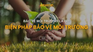 Bảo vệ môi trường là gì? Các biện pháp bảo vệ môi trường hiệu quả