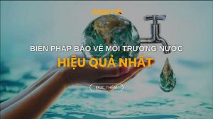 Là học sinh em cần làm gì để bảo vệ nguồn nước