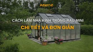 Cách làm nhà kính trồng rau mini