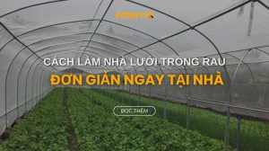 cách làm nhà lưới trồng rau đơn giản