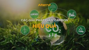 Bật mí 8 Giải pháp giảm Carbon hiệu quả, bền vững nhất