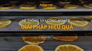 Hệ thống sấy là gì? Lợi ích và tiêu chí chọn hệ thống sấy phù hợp