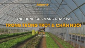 Ứng dụng của màng nhà kính trong trồng trọt và chăn nuôi