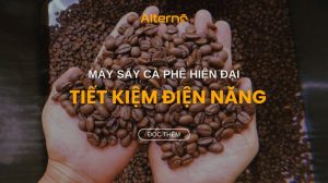 Máy sấy cà phê tươi: Hiện đại, công suất lớn và tiết kiệm điện