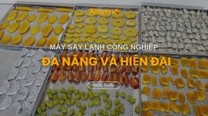 máy sấy lạnh công nghiệp