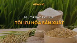 máy sấy lúa