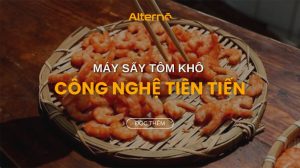 Máy sấy tôm khô công nghiệp hiện đại, đảm bảo chất lượng