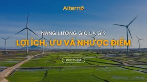Năng lượng gió là gì? Lợi ích, ưu và nhược điểm của năng lượng gió