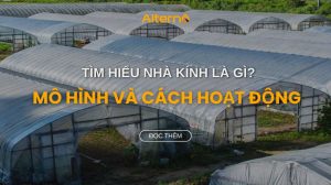 nhà kính