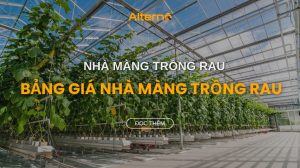 nhà màng trồng rau