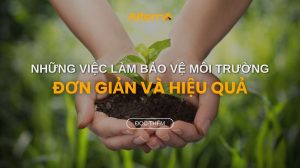 những việc làm bảo vệ môi trường