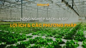 Mô hình sản xuất nông nghiệp là gì