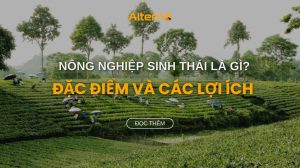 Khái niệm nông nghiệp sinh thái là gì
