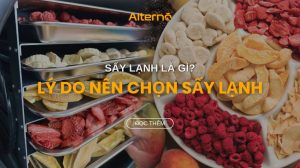 Máy sấy lạnh
