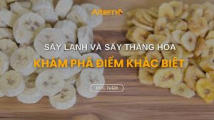 cách vận hành máy sấy tầng sôi