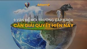 Vấn đề môi trường ở Việt Nam