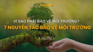 Bảo vệ môi trường là gì