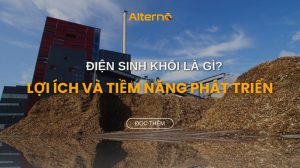Điện sinh khối là gì