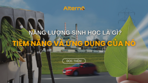 Năng lượng sinh học wikipedia
