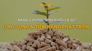 Năng lượng sinh khối là gì