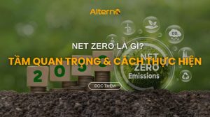 Net Zero Việt Nam