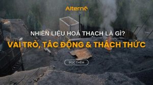 Nhiên liệu hóa thạch Tiếng Anh