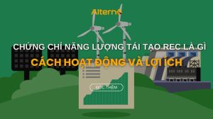 REC là viết tắt của từ gì