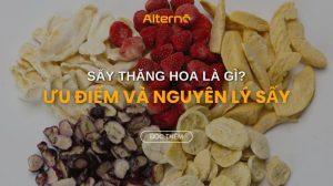Sấy thăng hoa tiếng anh là gì