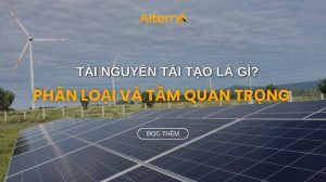 Tài nguyên tái tạo